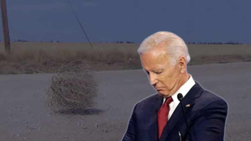 Biden Forgot to Buy the Web Address For His Latinx Outreach Campaign and Now Trump Owns It 🤣